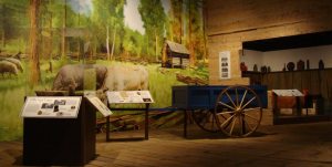 Buffalo History Museum Pioneer Gallery