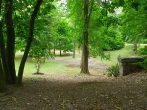 Rumsey Woods in Delaware Park
