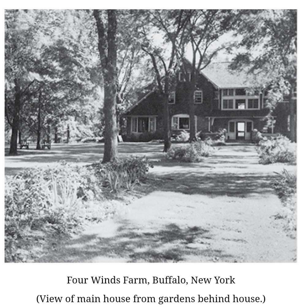 Screenshot_20210813-103644_Chrome