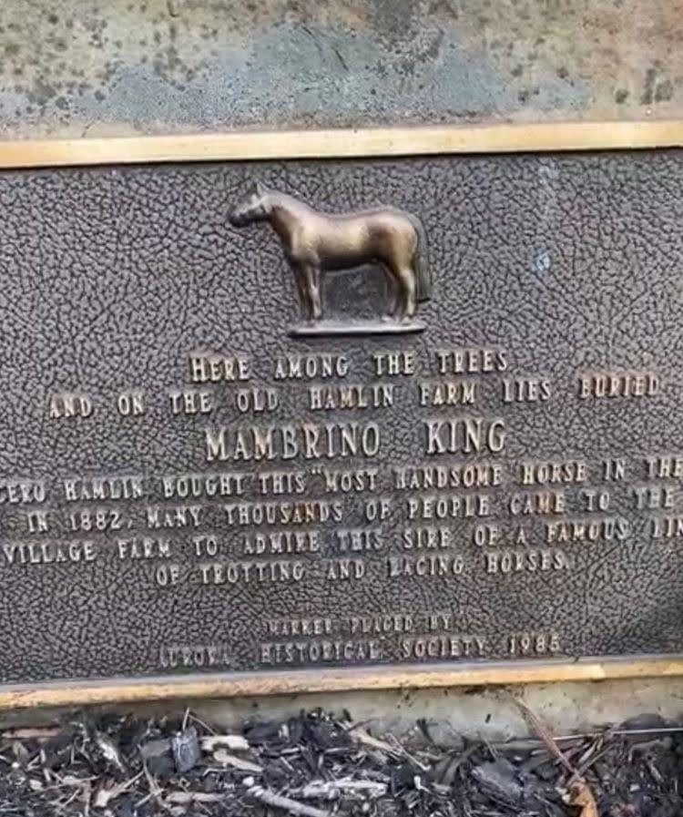 IMG_20220122_205958_944