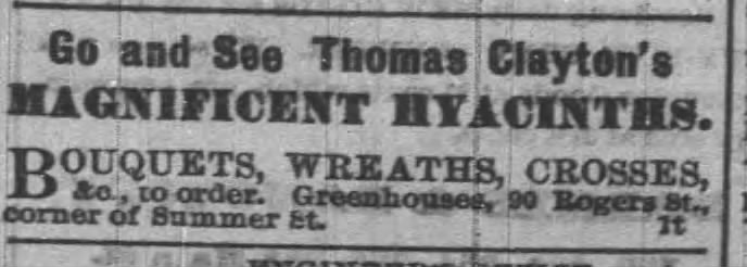 greenhouse_summer_street